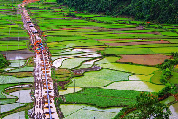 水稻田施工
